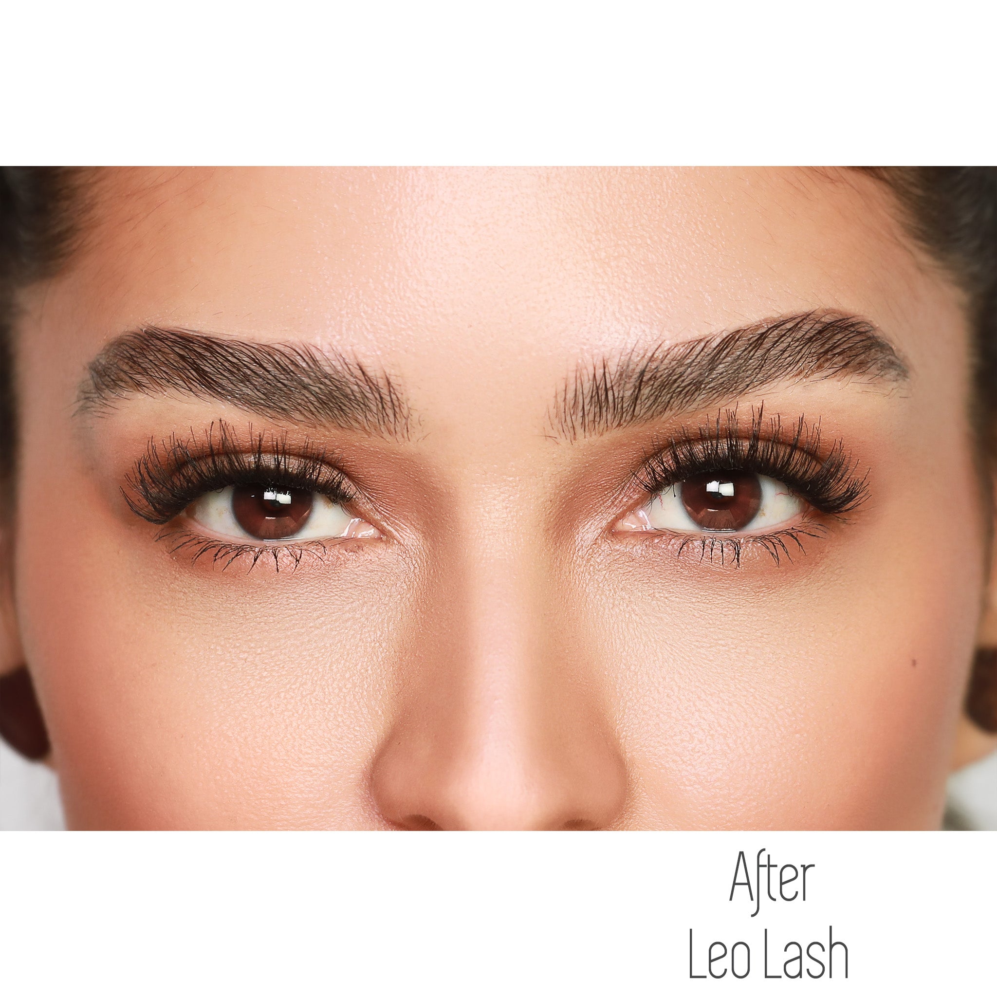 Leo Full Lash