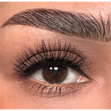 Moxie Lash