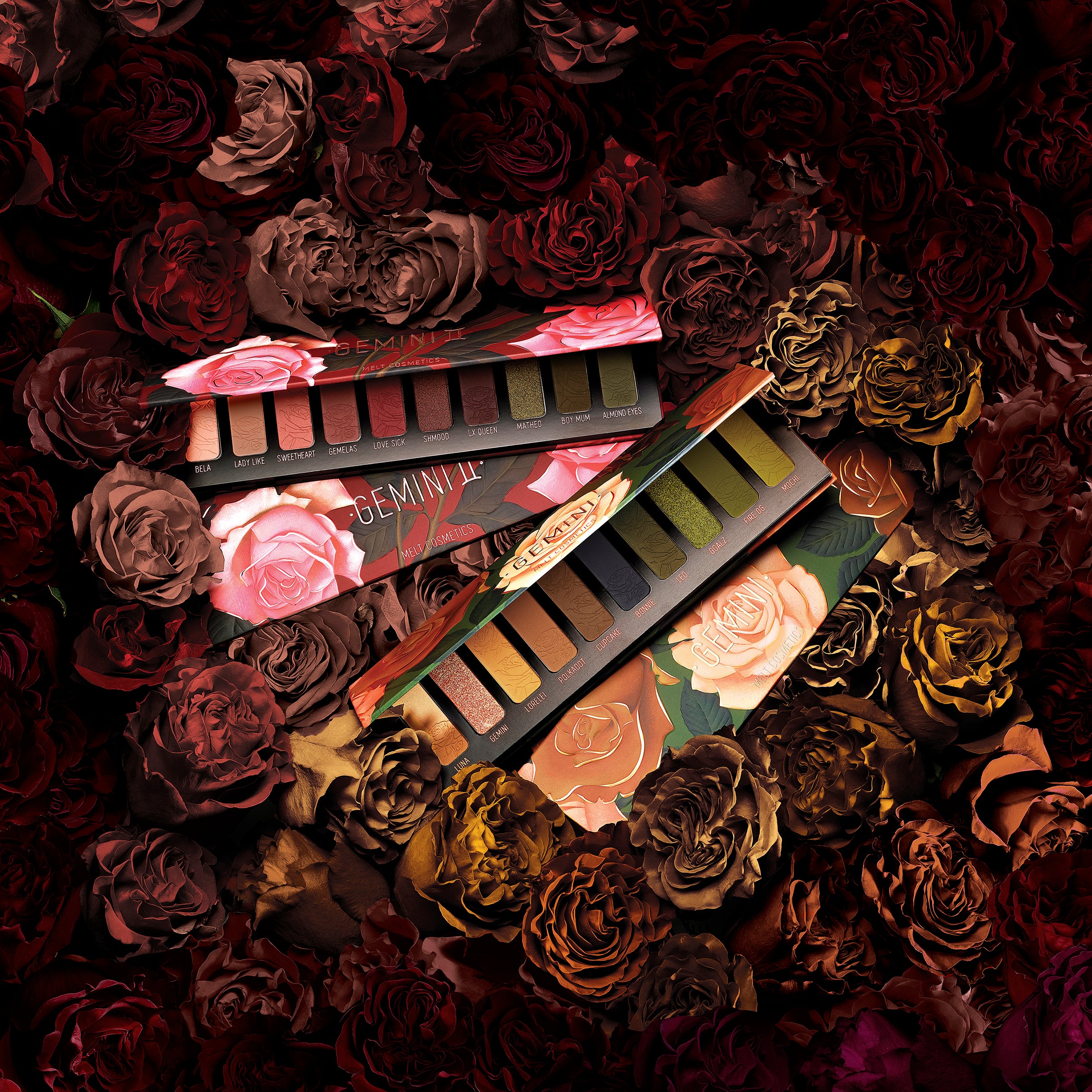 Gemini Bundle