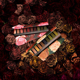 Gemini Bundle